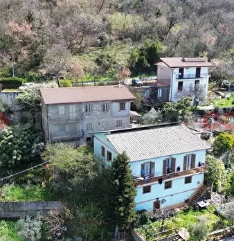 Foto annuncio 41