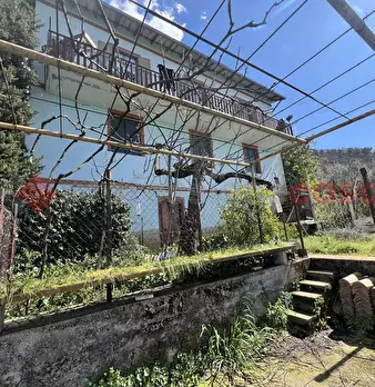 Foto annuncio 33