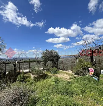 Foto annuncio 37