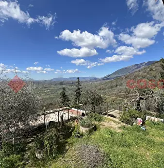 Foto annuncio 38