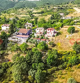 Foto annuncio 29