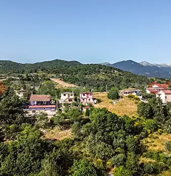 Foto annuncio 26