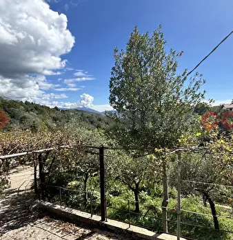 Foto annuncio 16