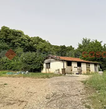 Foto annuncio 1