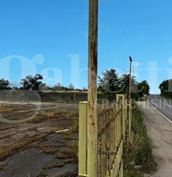 Foto annuncio 7