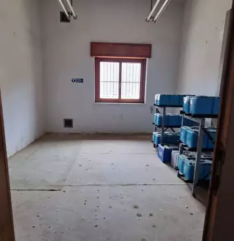 Foto annuncio 17