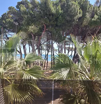 Foto annuncio 14