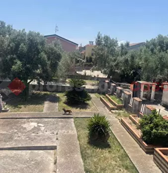 Foto annuncio 12