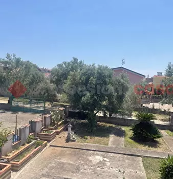 Foto annuncio 13