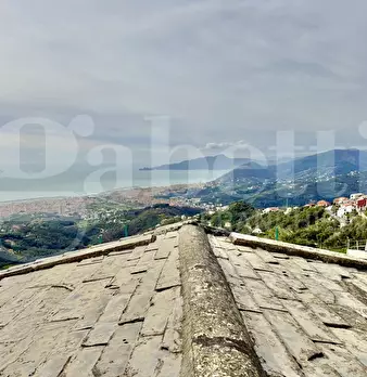 Foto annuncio 47