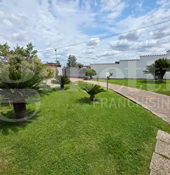 Foto annuncio 10