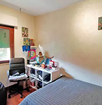 Foto annuncio 11