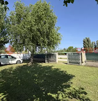 Foto annuncio 11