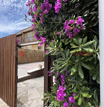 Foto annuncio 35