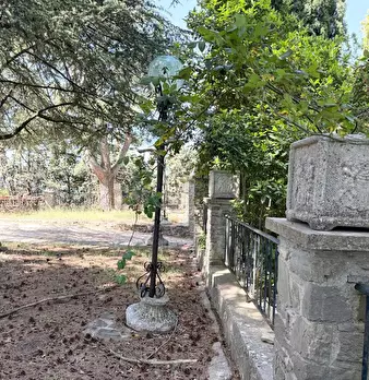Foto annuncio 39
