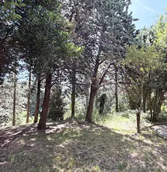 Foto annuncio 10