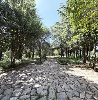 Foto annuncio 11