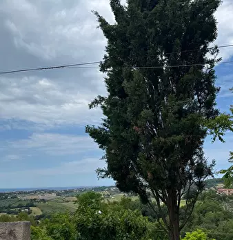 Foto annuncio 17