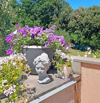 Foto annuncio 3