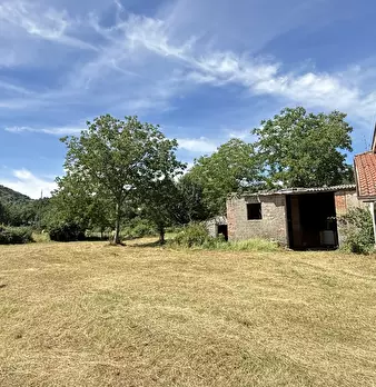 Foto annuncio 45