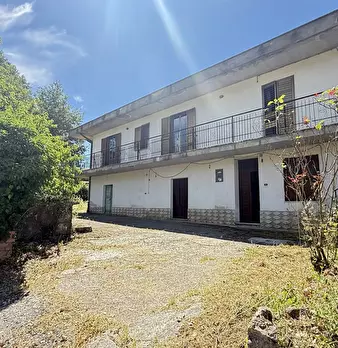 Foto annuncio 7