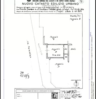 Foto annuncio 24