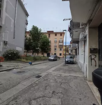 Foto annuncio 6