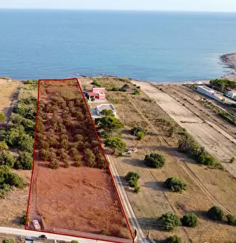 Foto annuncio 1