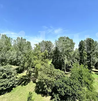 Foto annuncio 25