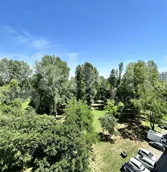 Foto annuncio 26