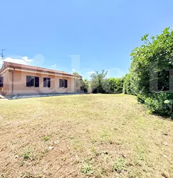 Foto annuncio 8