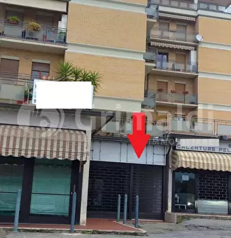 Foto annuncio 12