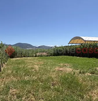 Foto annuncio 23