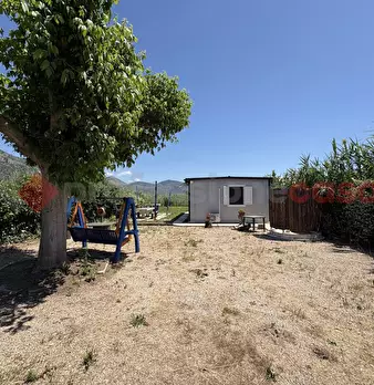 Foto annuncio 31