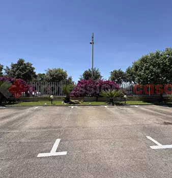 Foto annuncio 31