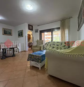 Foto annuncio 9