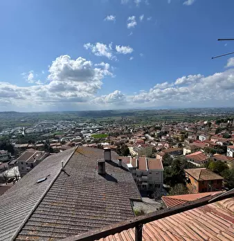 Foto annuncio 13