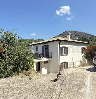 Foto annuncio 14