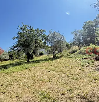 Foto annuncio 16