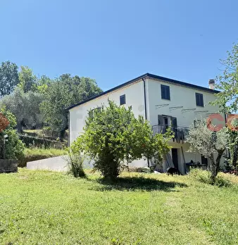 Foto annuncio 19