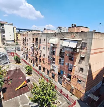 Foto annuncio 14