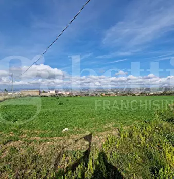 Foto annuncio 11