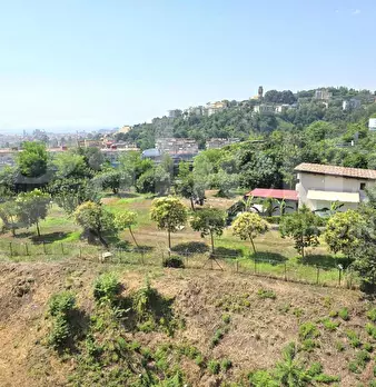Foto annuncio 13