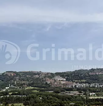 Foto annuncio 19
