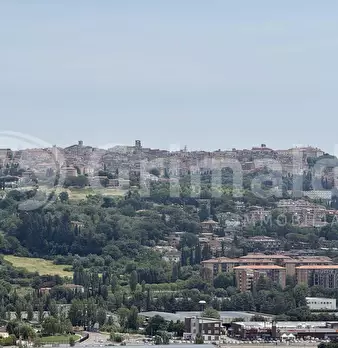 Foto annuncio 28