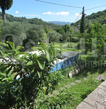 Foto annuncio 4