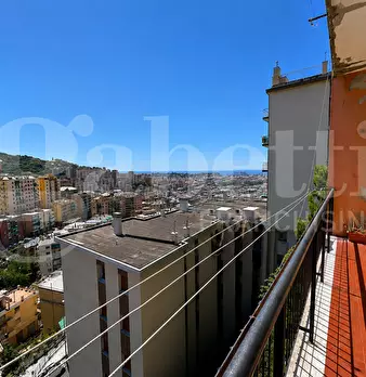 Foto annuncio 7