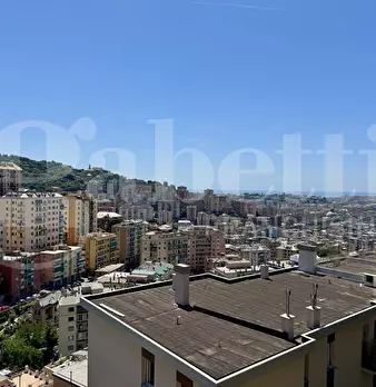 Foto annuncio 22