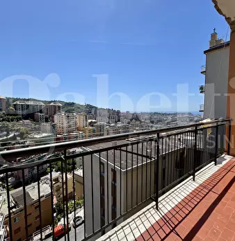 Foto annuncio 15