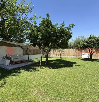 Foto annuncio 32